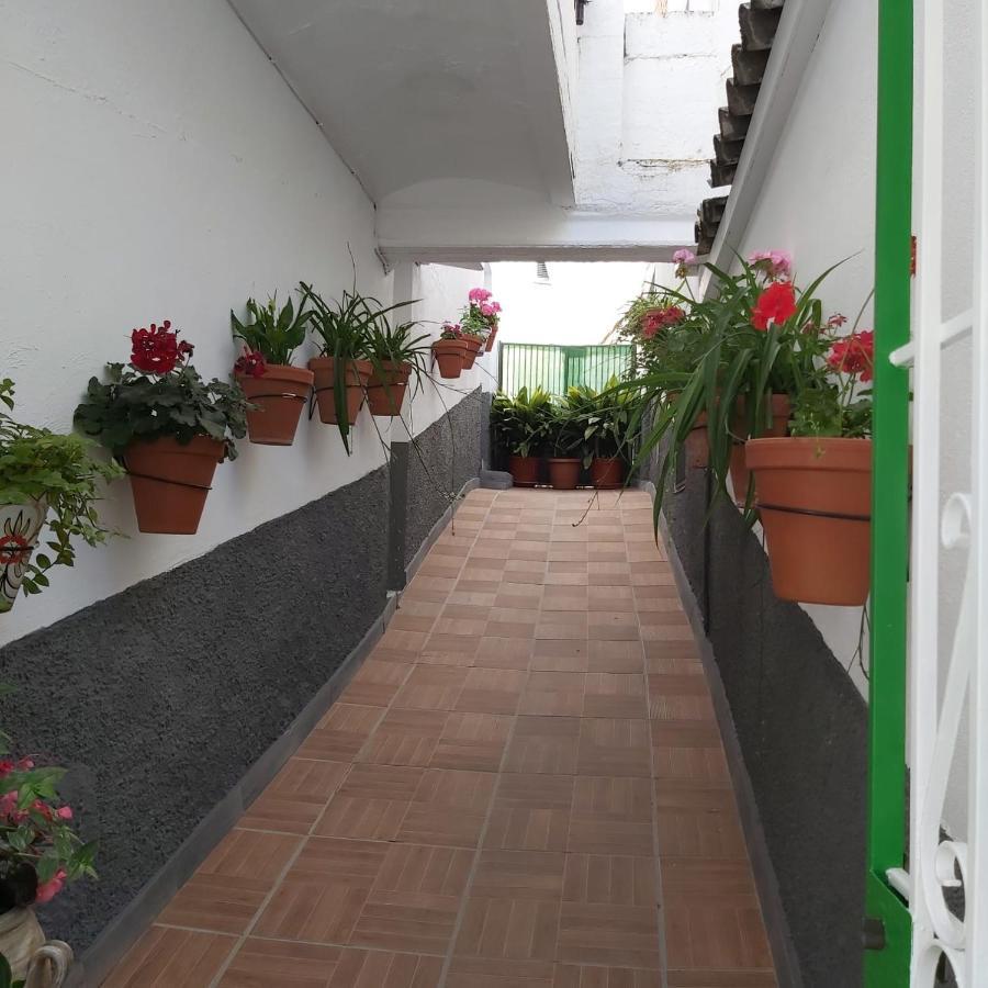 Hostal Vivienda Rural Rio Cerezuelo Cazorla Exterior foto