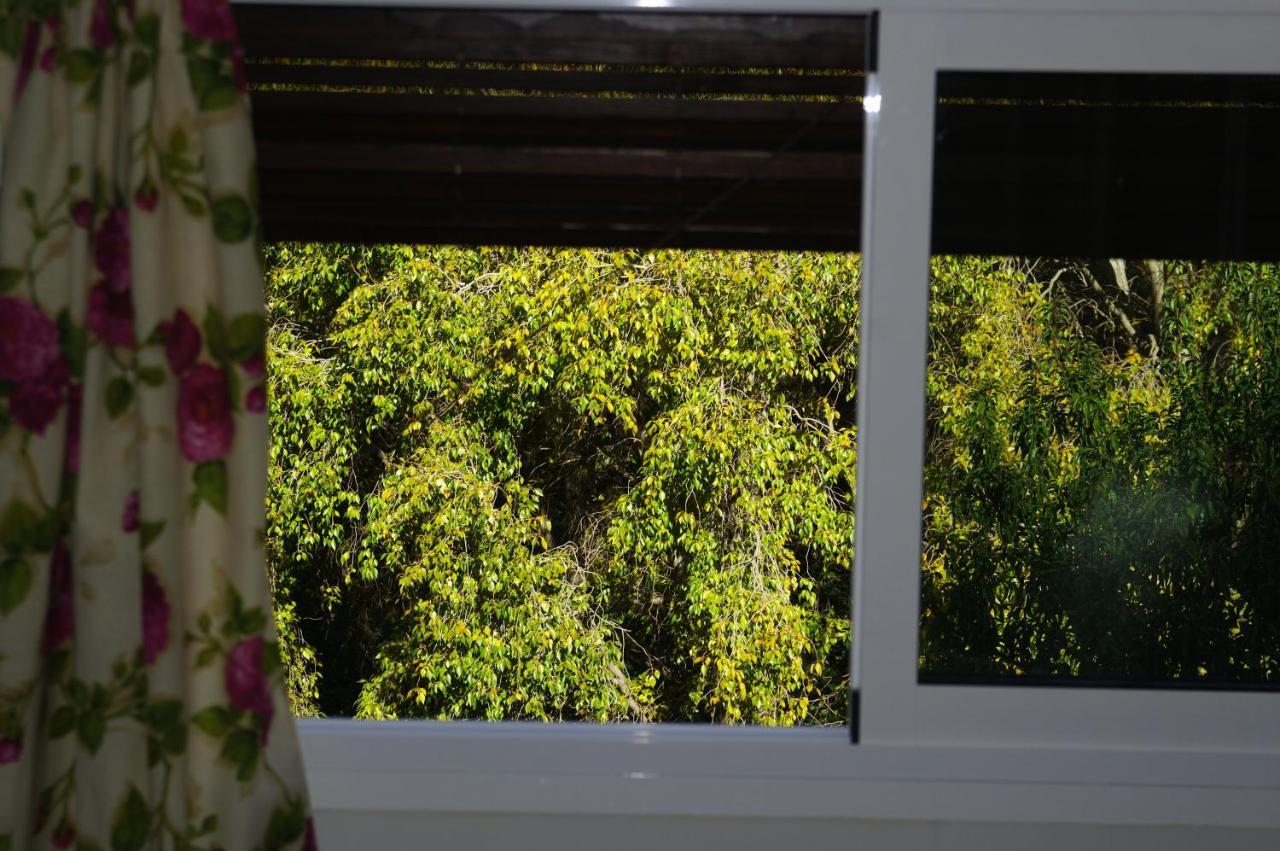 Hostal Vivienda Rural Rio Cerezuelo Cazorla Exterior foto